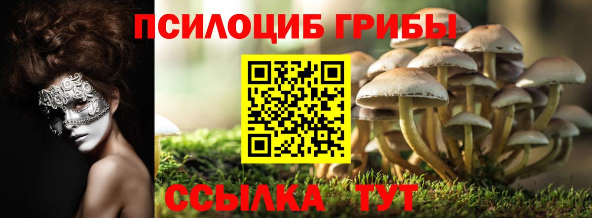 Вязники  Галлюциногенные грибы мухоморы  Вход с VPN  Галлюциногенные грибы GOLDEN TEACHER 
